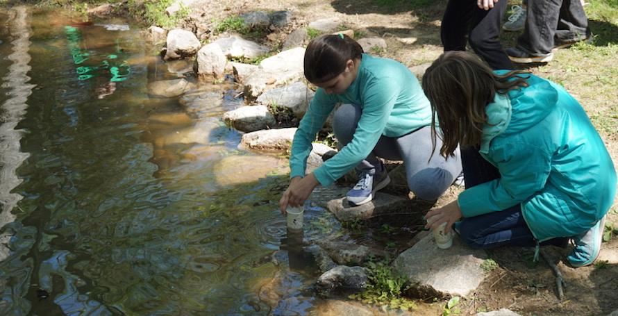 Abbotts Creek students test water quality in a creek. 